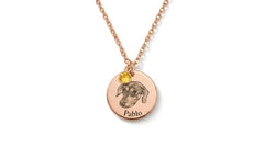 Coin Necklace with Birthstone